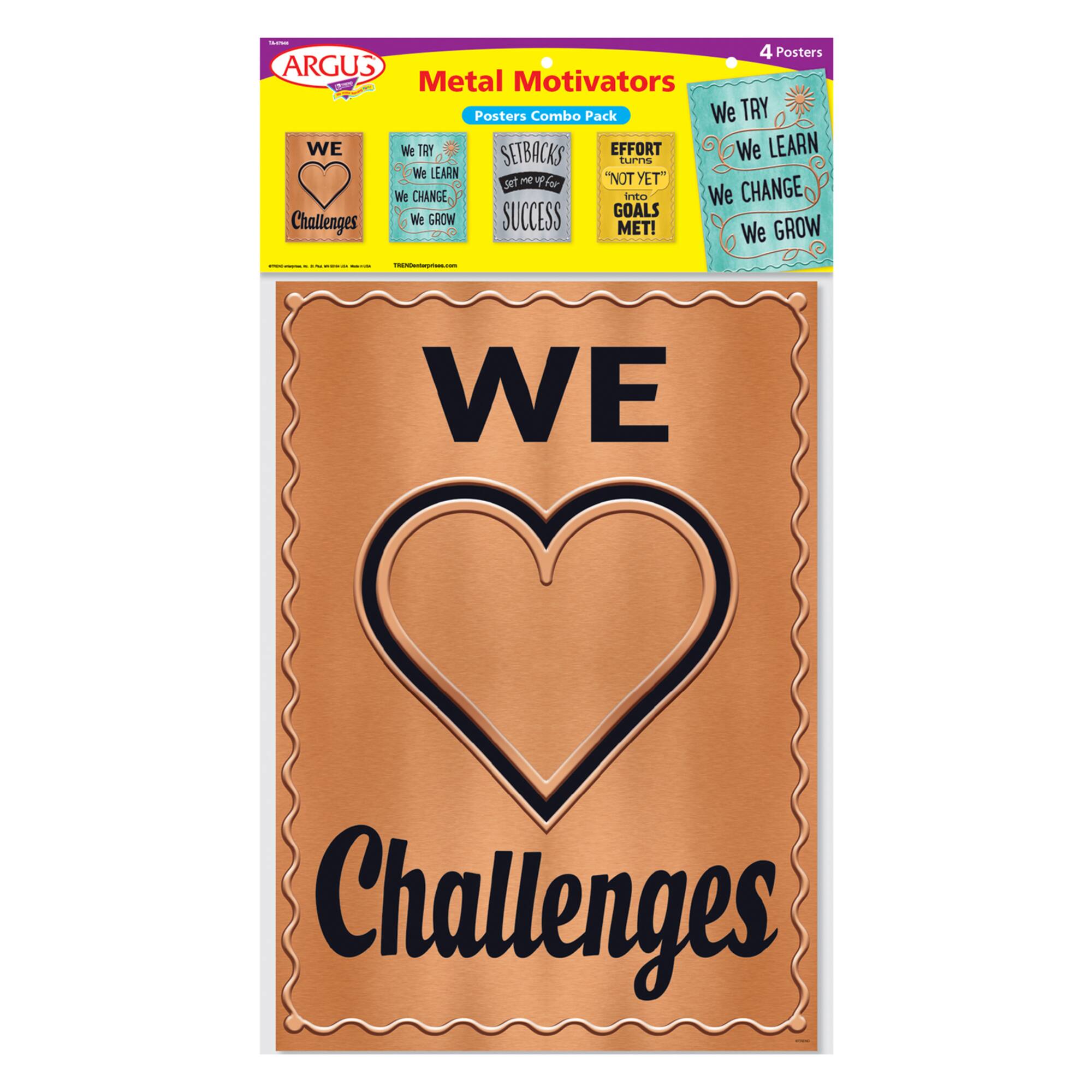 ARGUS® Metal Motivators Poster Set